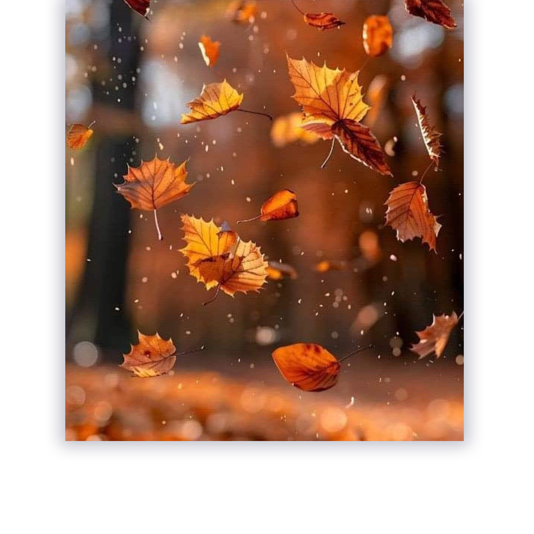 autunno.png