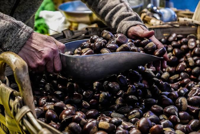 Benvenuto autunno   Castagnate ed escursioni