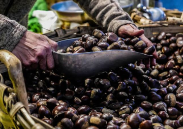 Benvenuto autunno   Castagnate ed escursioni