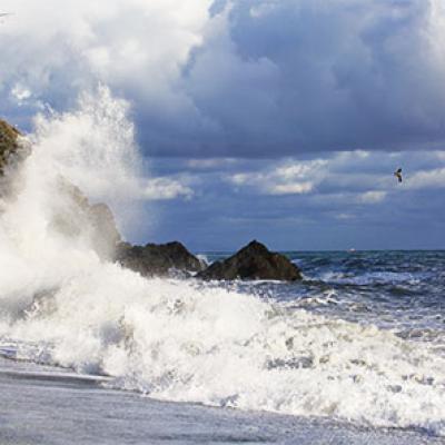 Il Nostro Mare